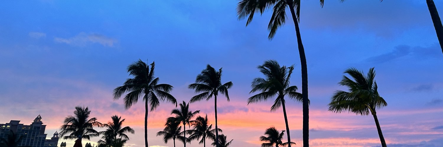 ninadamico's profile banner image