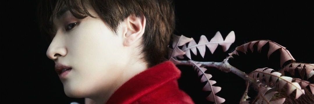 Twee_TEe_'s profile banner image