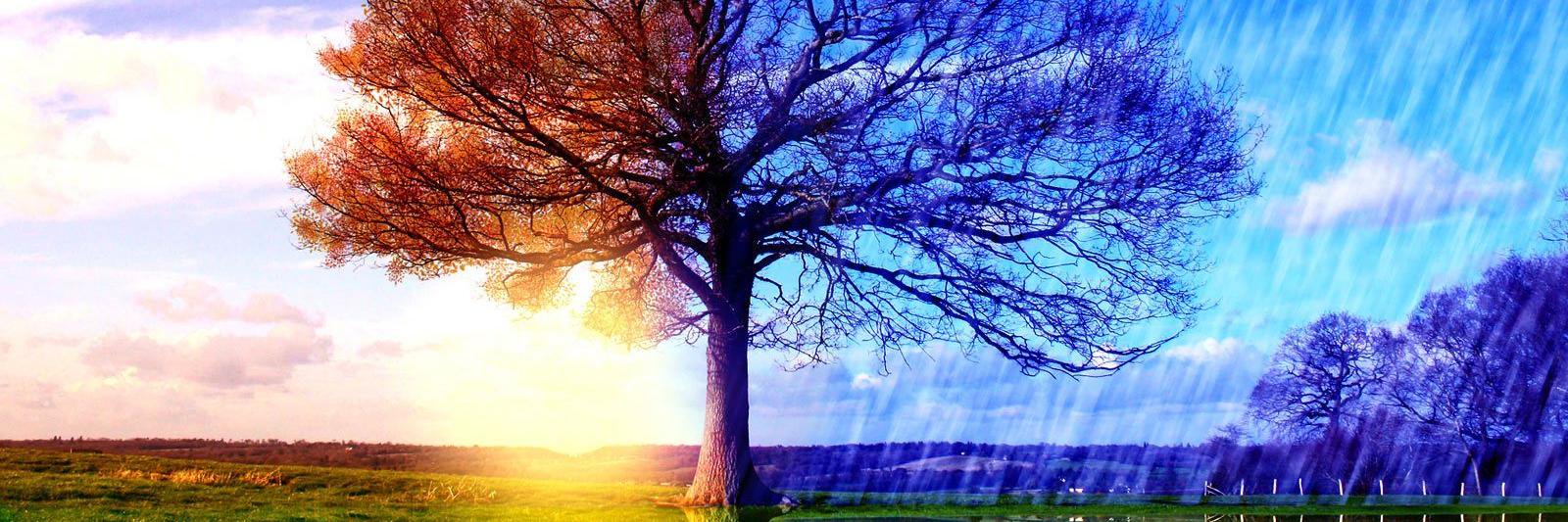 Via Aeterna banner