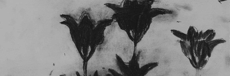 𝓦𝐄͟𝐄͟𝐏͟𝐈͟𝐍͟𝐆͟ 𓅣 𝐂͟𝕽𝐀͟𝐍͟𝐄 ⋆ banner