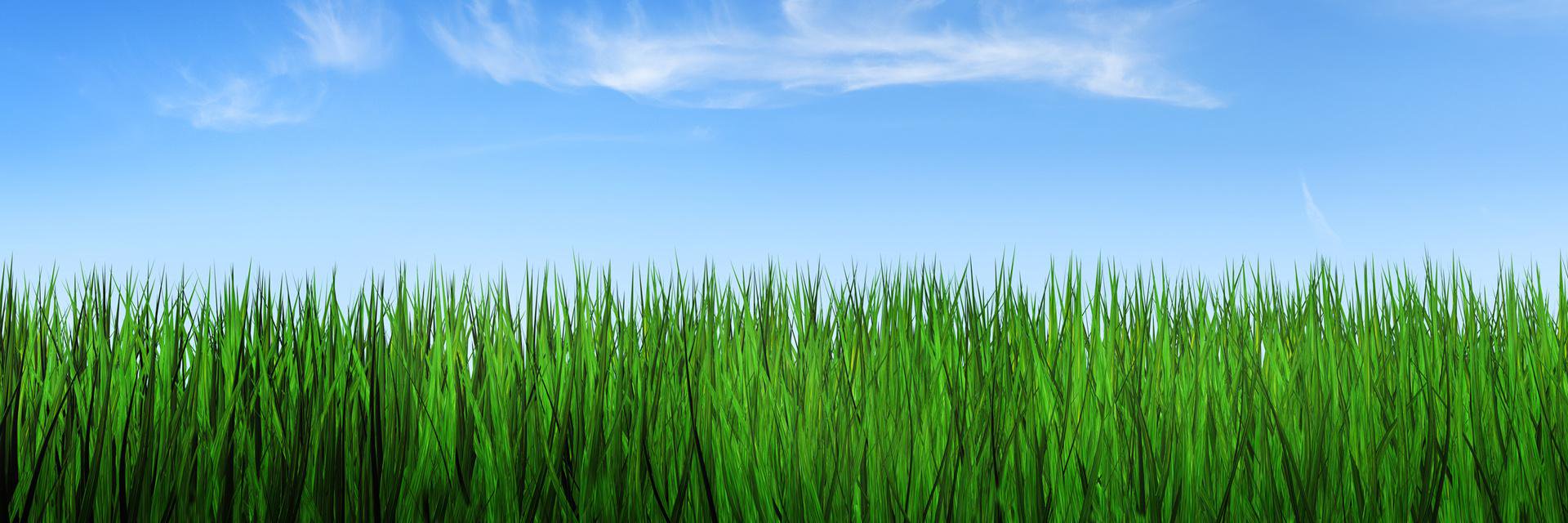Forex_Facts's profile banner image