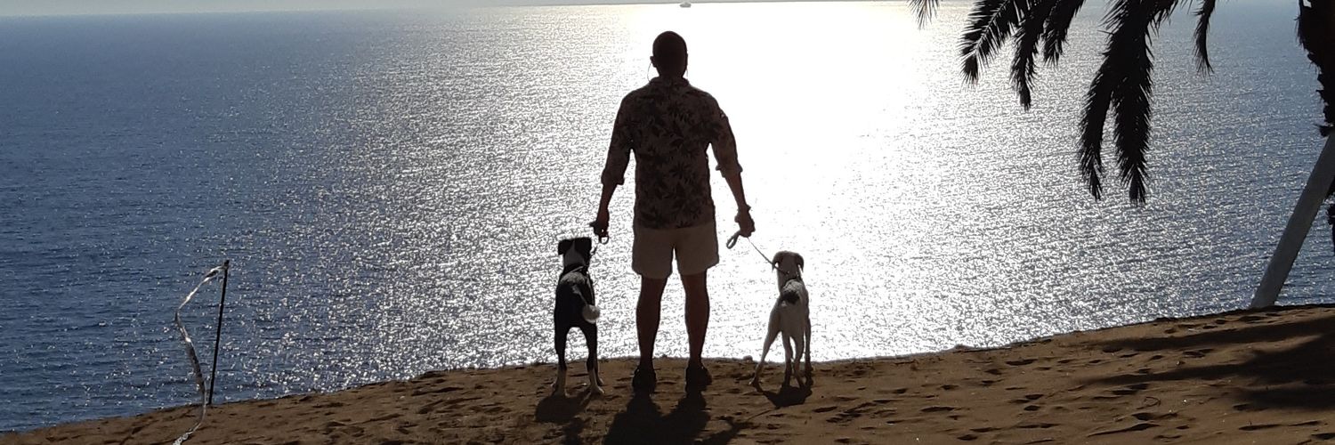 nicleonpb's profile banner image