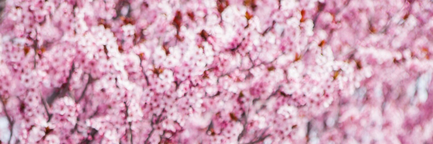 em_moeller's profile banner image
