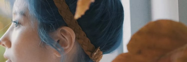 luisafercharoa's profile banner image