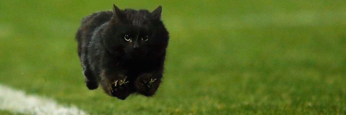 ConAir Corolla 🇺🇦 banner