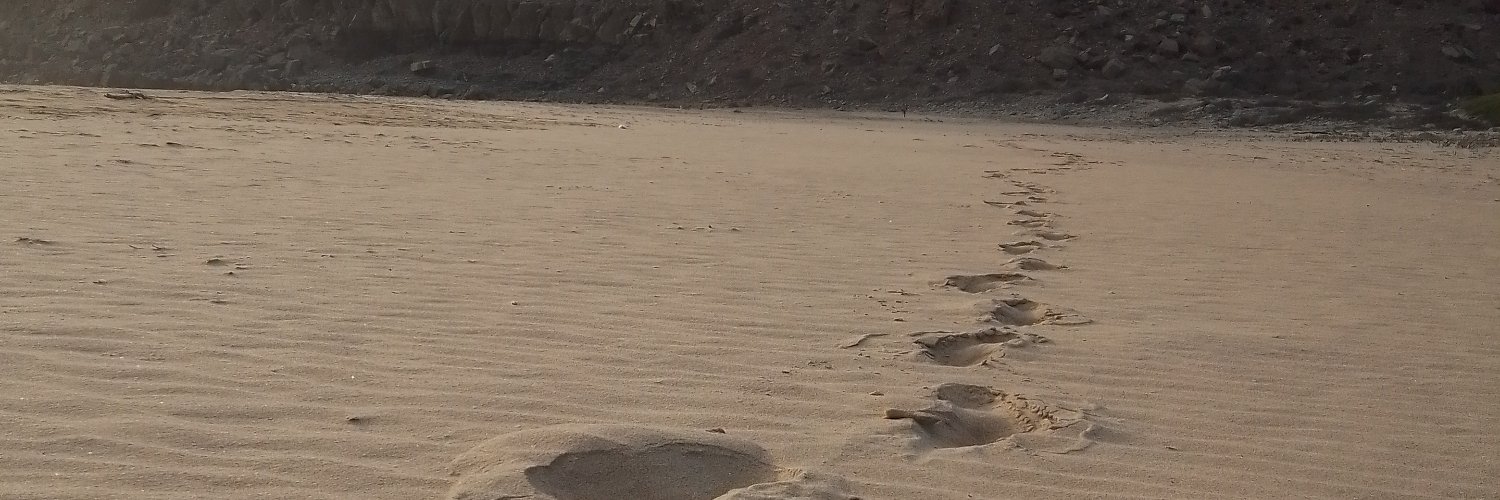zulyvelez1's profile banner image