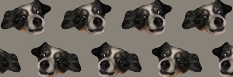 thatCRAZYlily's profile banner image
