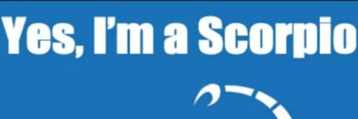 MsVLong's profile banner image