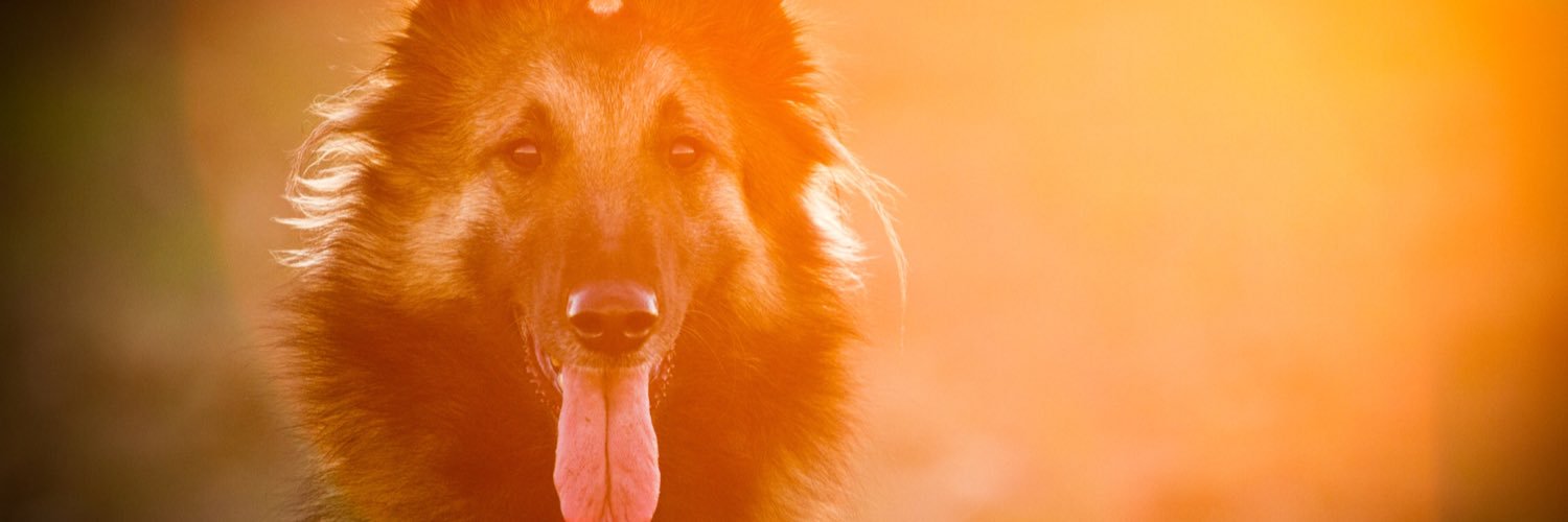 keevylein's profile banner image