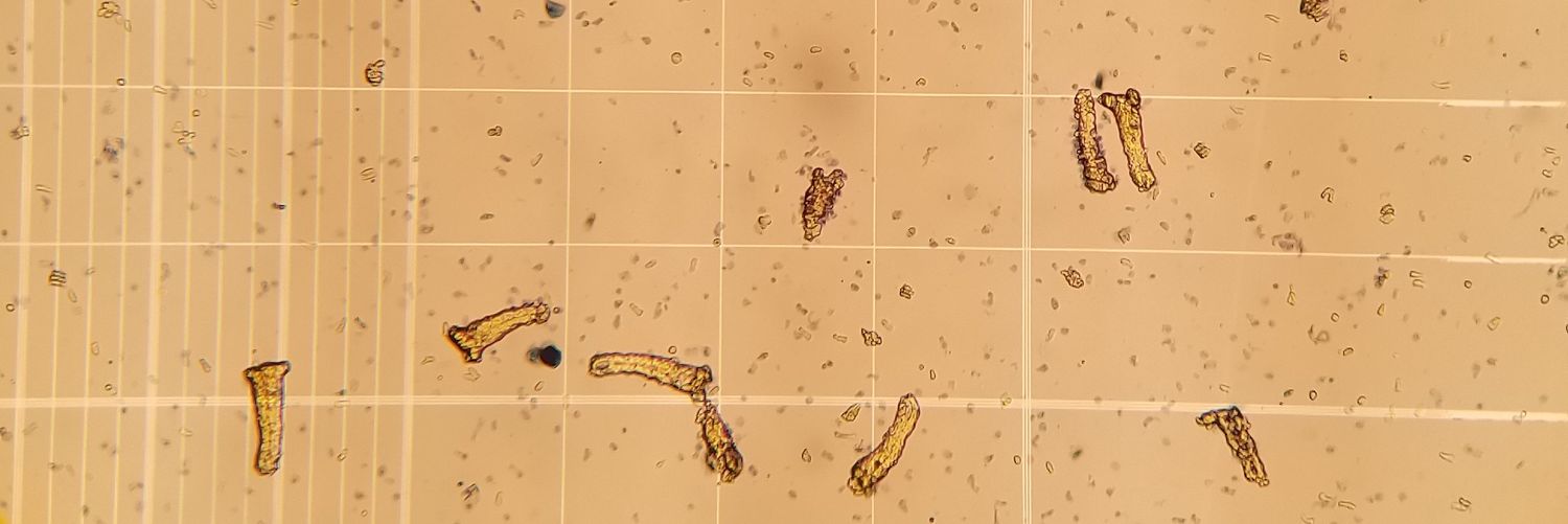 Erin Steinbach banner