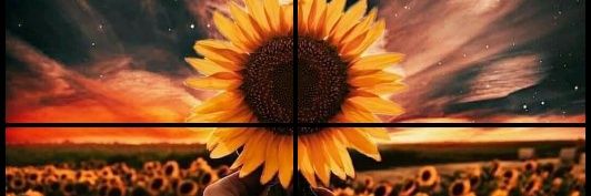 RaShellTabes's profile banner image