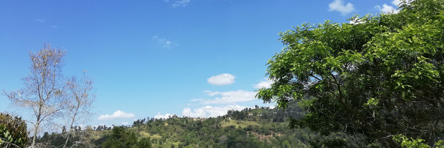 C13rojas's profile banner image