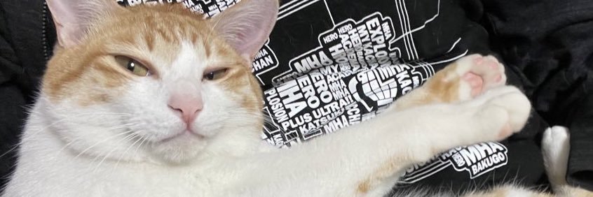wal_icoll5's profile banner image