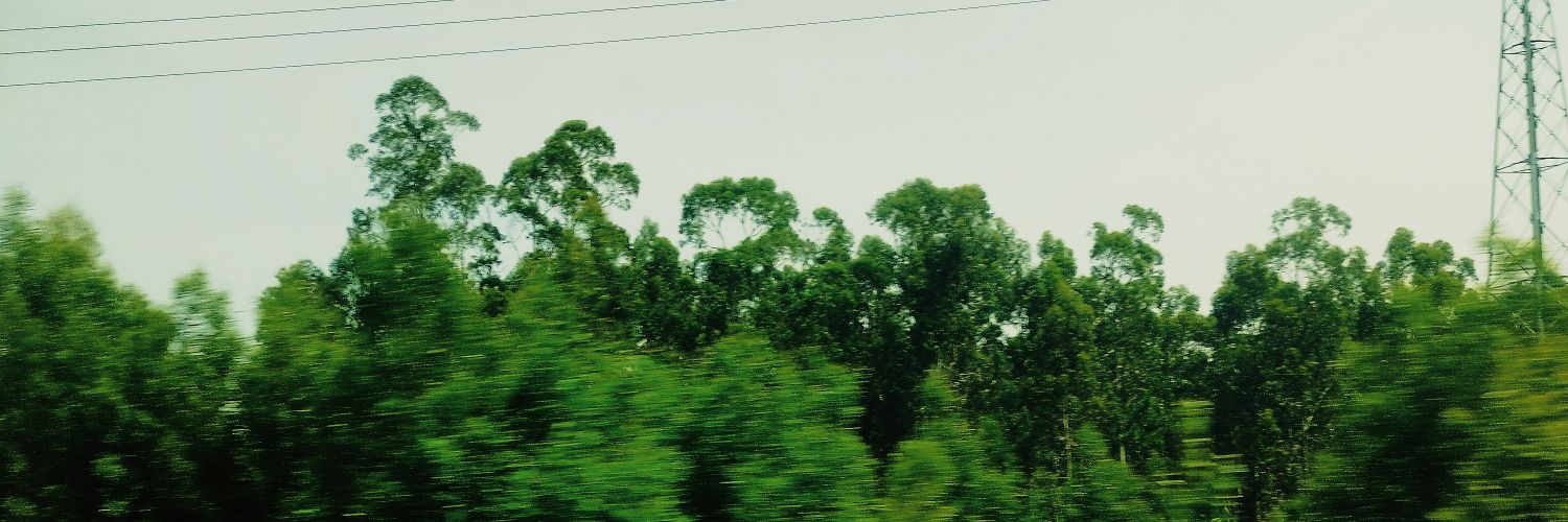 itsnotmyroom's profile banner image