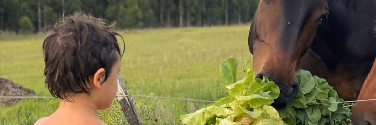 DuranaRodrigo's profile banner image