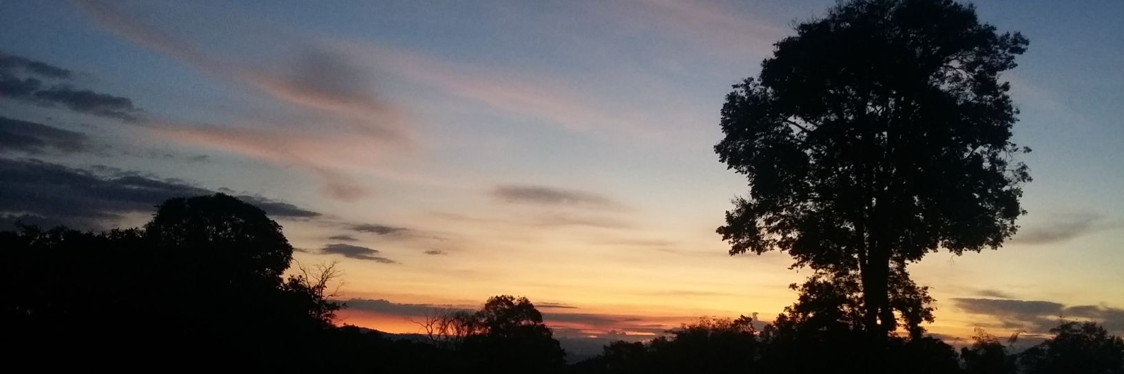 SoyMilo_'s profile banner image