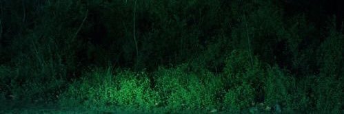 chrisandaa's profile banner image