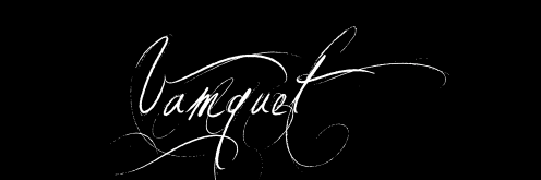 VAMQUET's profile banner image