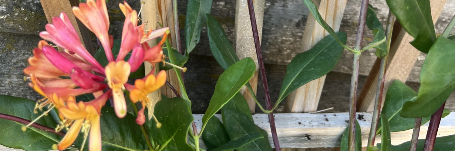 cschwennsen's profile banner image