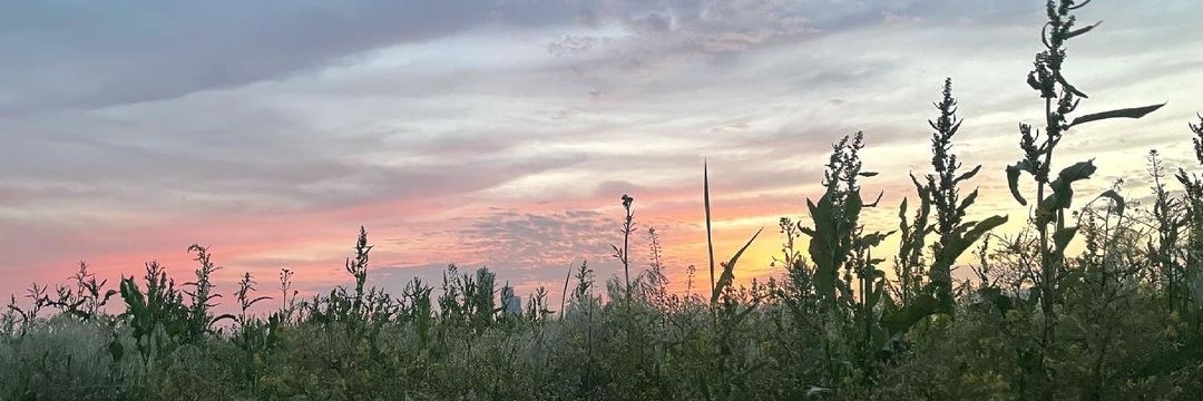 GoKyungPyo_'s profile banner image