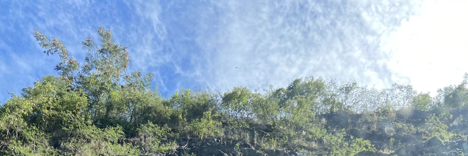 AriDari93's profile banner image