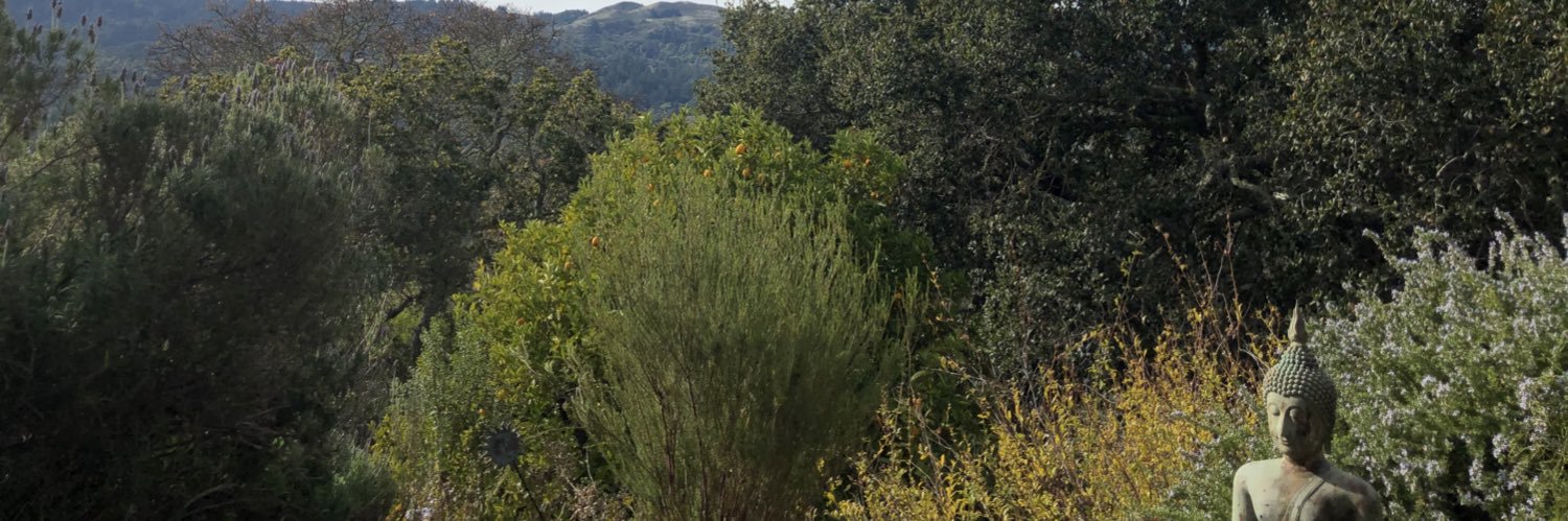 Nancy Lindborg banner