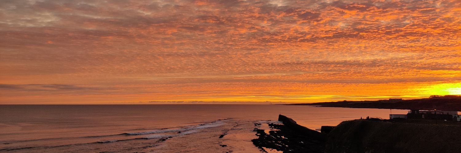 Ali Goodfellow banner