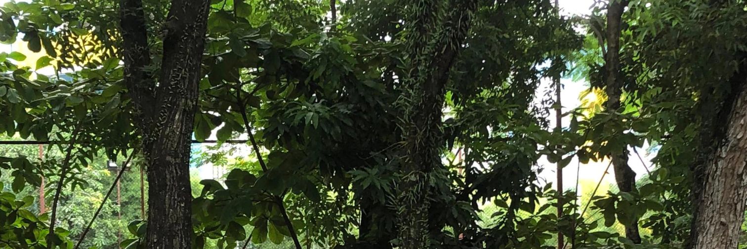 onyawah's profile banner image
