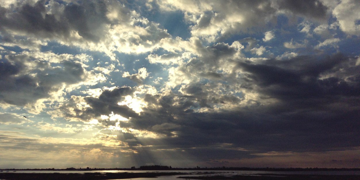 Paopaws's profile banner image