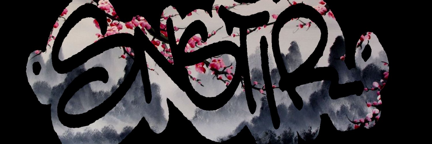 Snstir's profile banner image