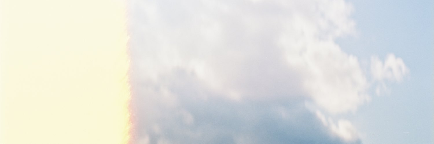 I Z Z I  R A Y banner