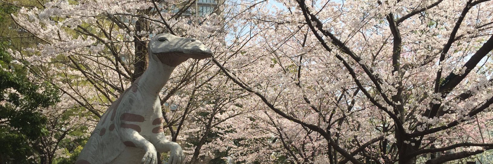 Mike Donnelly banner