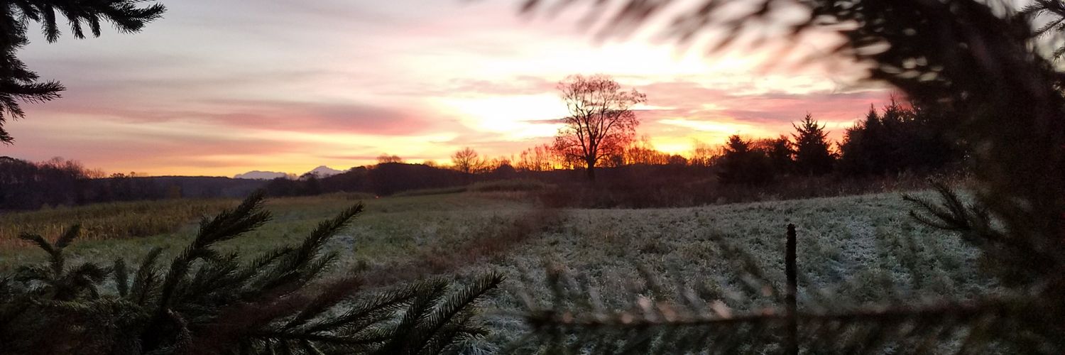 BridgetEbert's profile banner image
