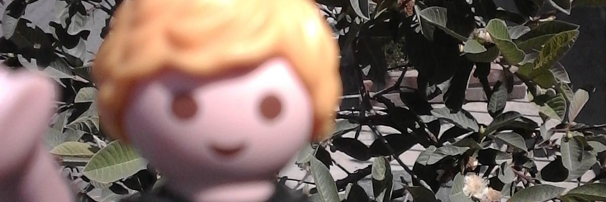 Alberto jimenez banner