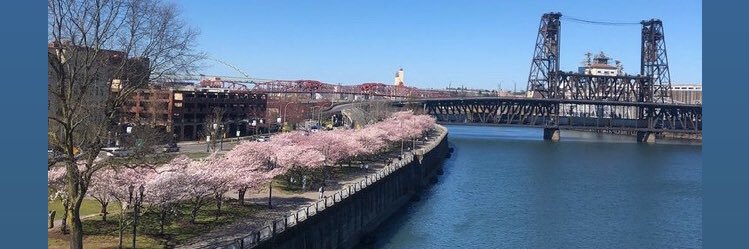 Heidi Williams 👋🏼 banner