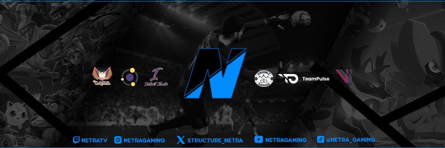 Netra Gaming Profile Banner