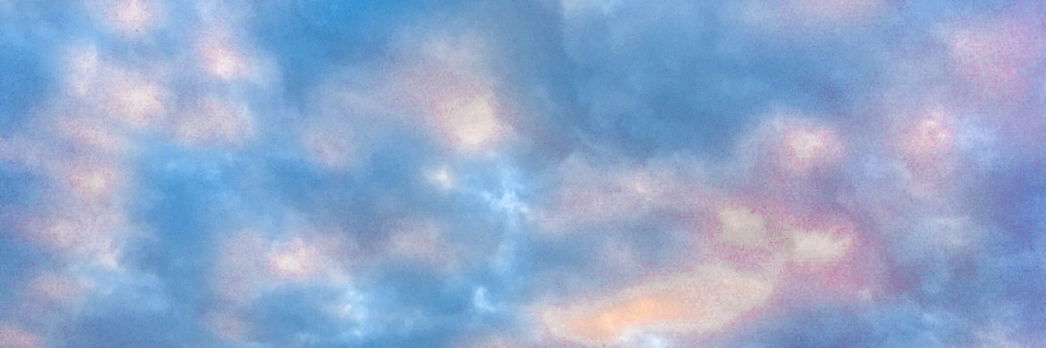 davinalouer's profile banner image