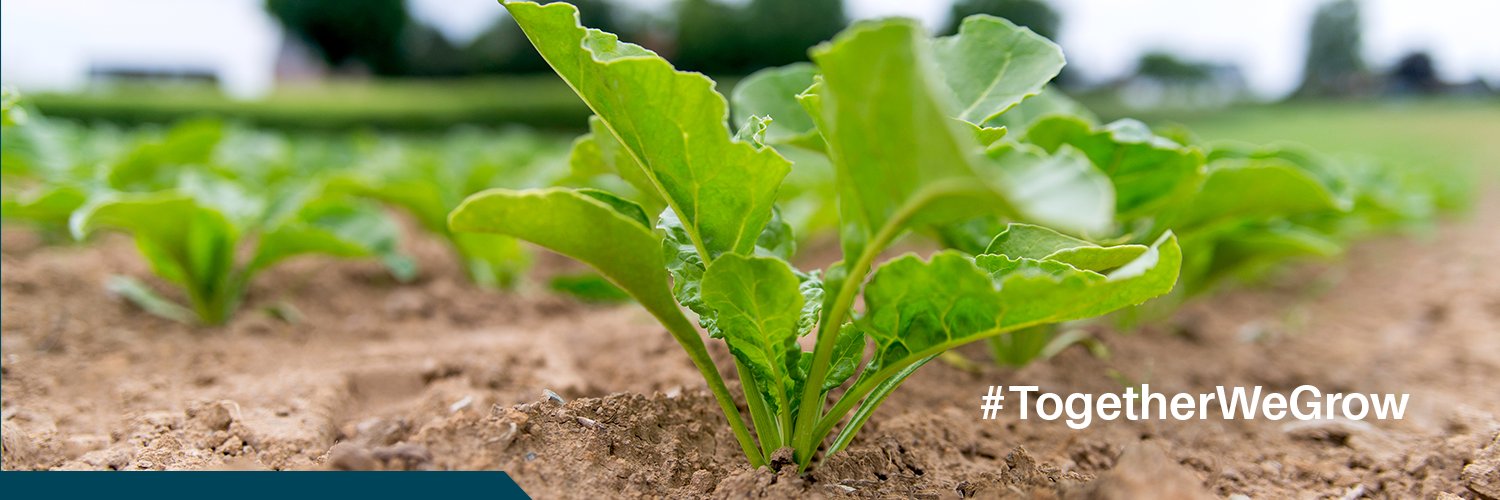 SESVANDERHAVE banner