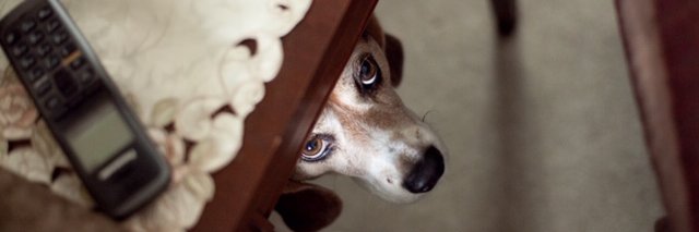 yanosenow's profile banner image