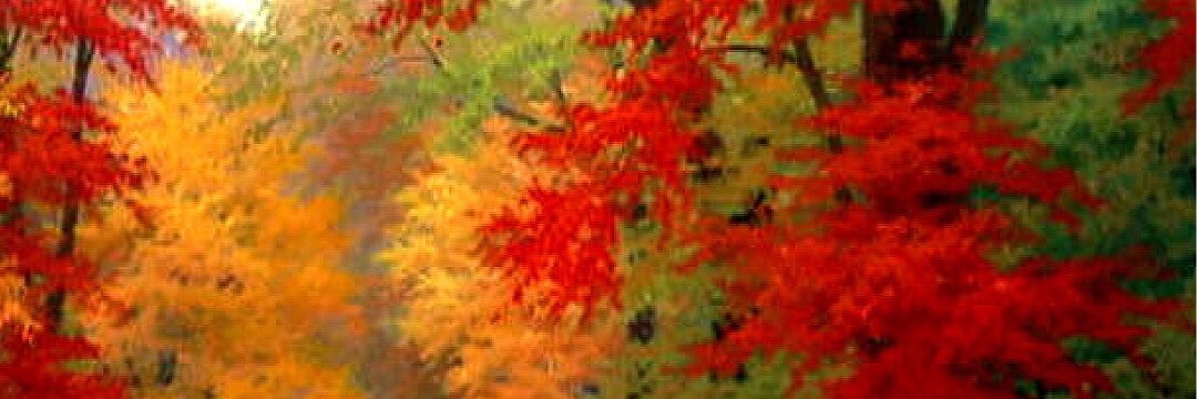 traceybraye's profile banner image