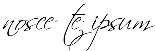 sherxxiii's profile banner image