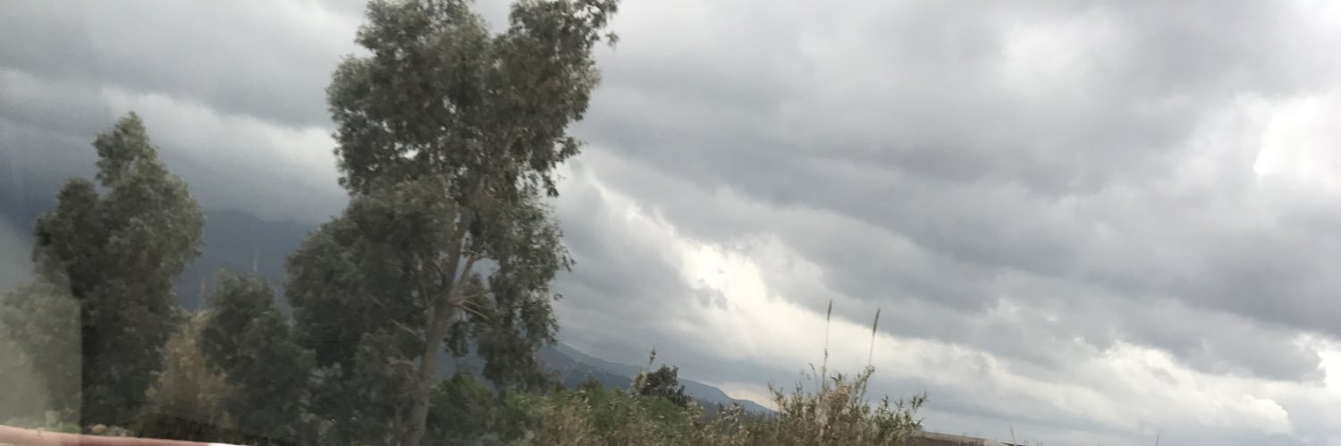 alsanuse's profile banner image