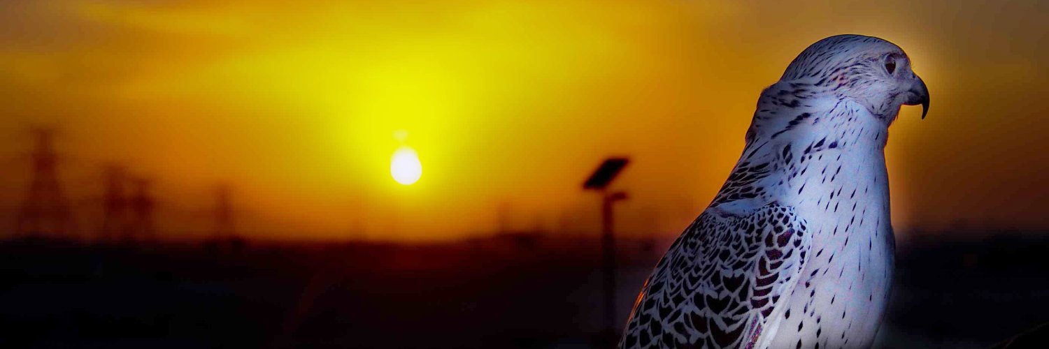UAEshoots's profile banner image