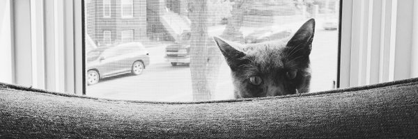 theMenaMo Profile Banner