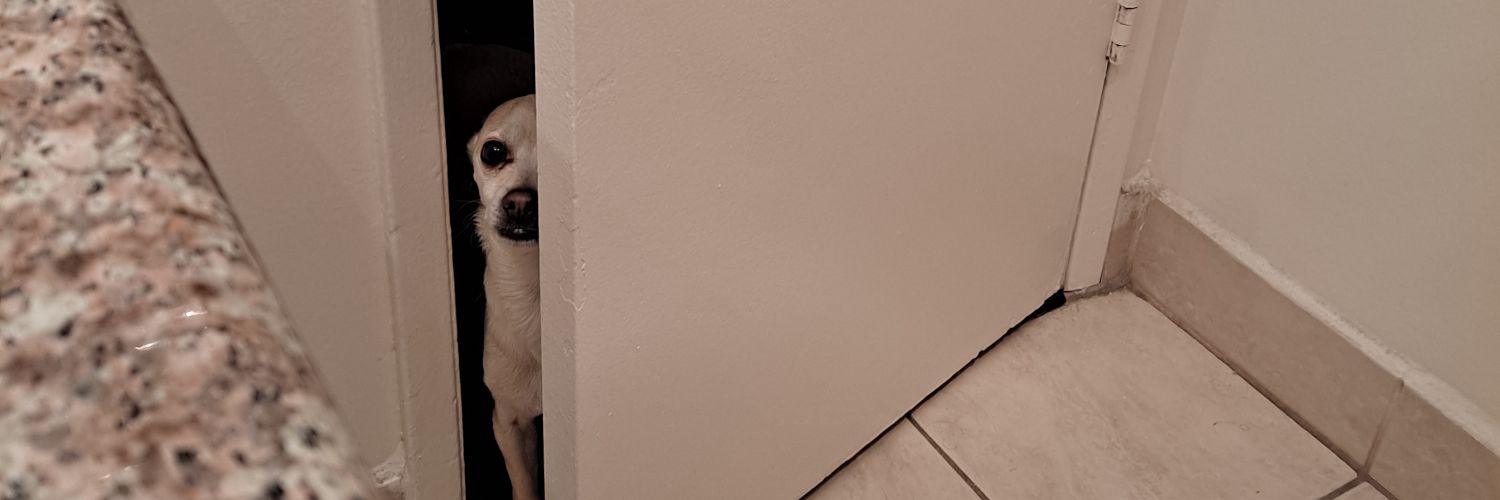 Goofykie's profile banner image