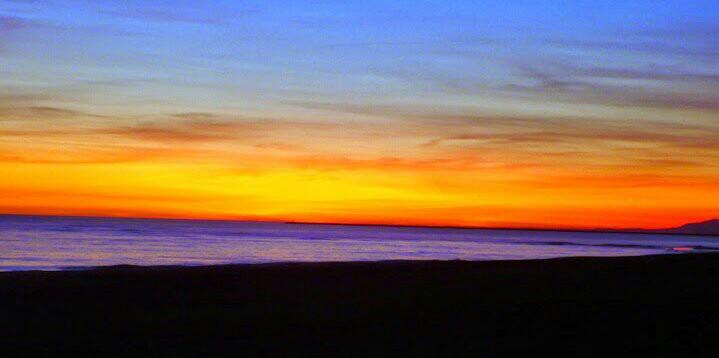 Jeronimo Losada banner