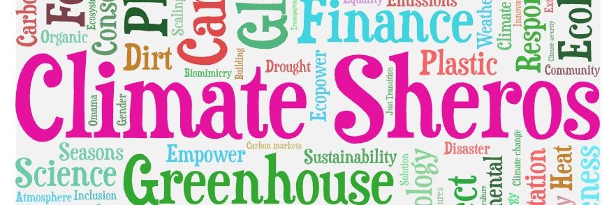 Chipo Kay writes ... banner