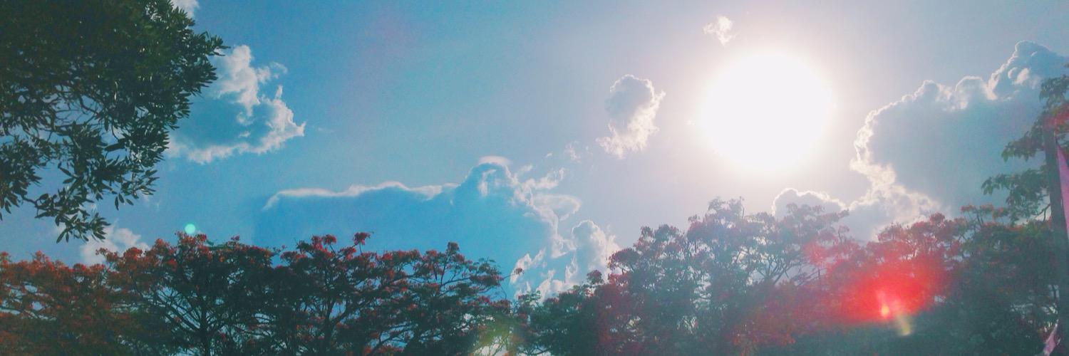 wara_viiew's profile banner image