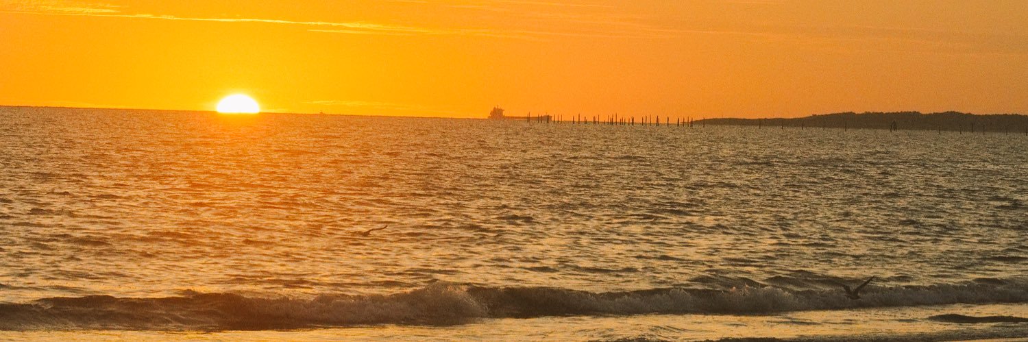 wacky weko🦃 banner