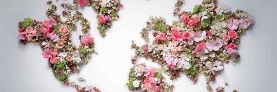 ThisIsJaay's profile banner image